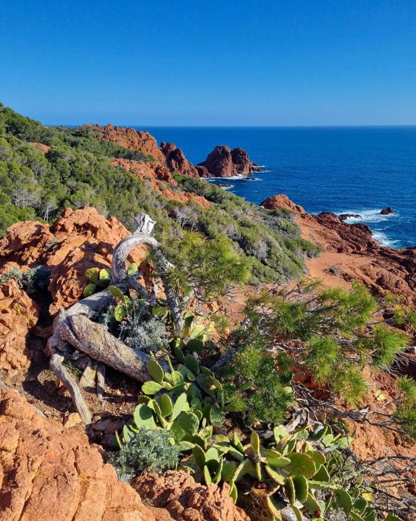T2 En Rez De Jardin Privatif Cloture , Cap Esterel Pierre Et Vacances ,Piscine Chauffee Des Le 05 Avril Au 02 Novembre Saint-Raphaël Buitenkant foto