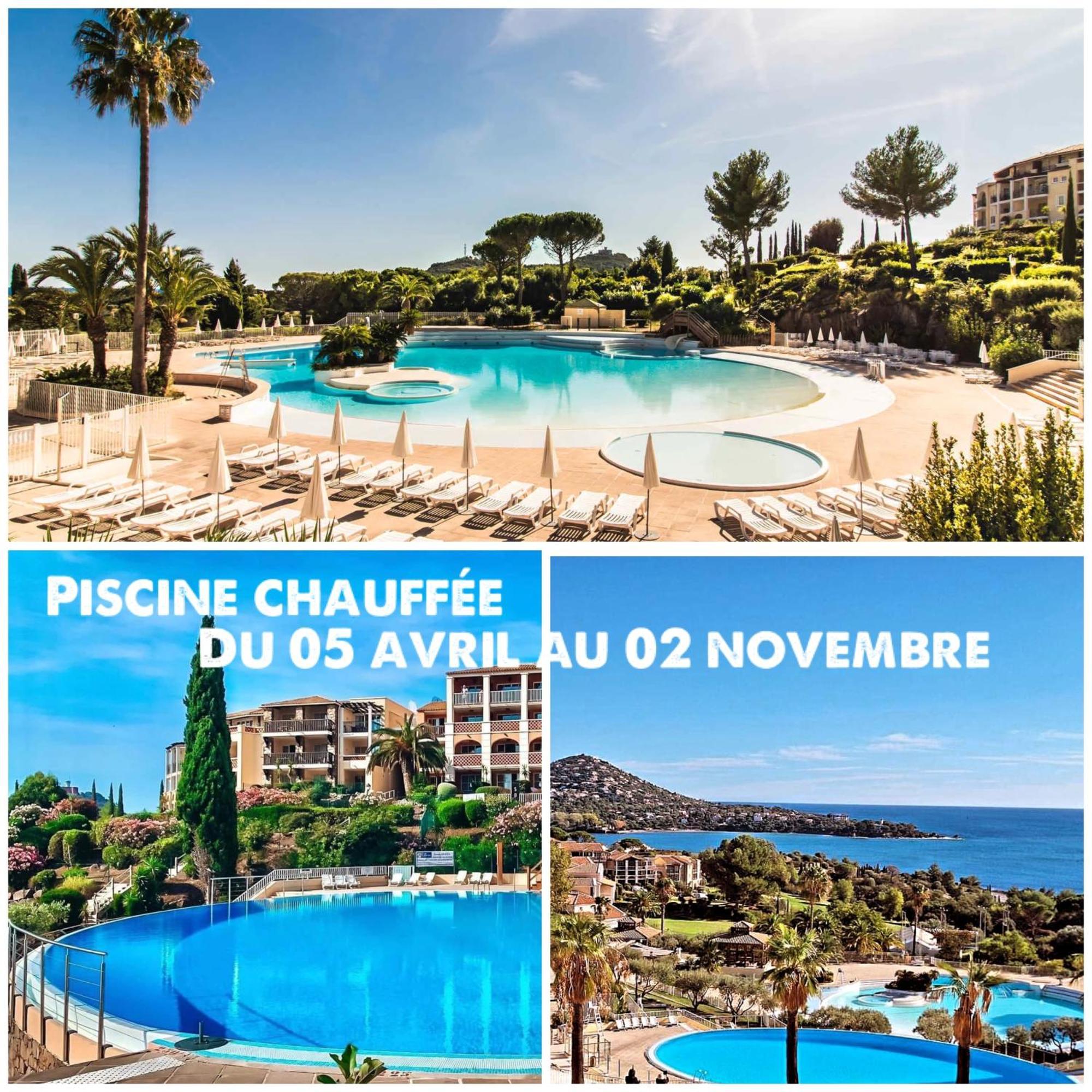 T2 En Rez De Jardin Privatif Cloture , Cap Esterel Pierre Et Vacances ,Piscine Chauffee Des Le 05 Avril Au 02 Novembre Saint-Raphaël Buitenkant foto